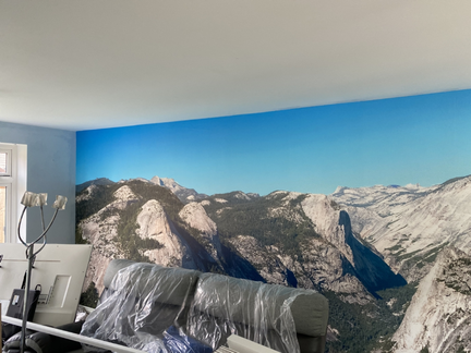 Painter & Decorator