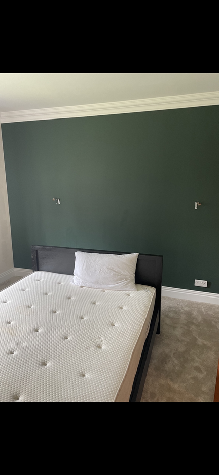 Painter & Decorator