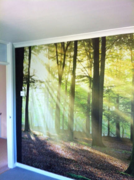 Painter & Decorator