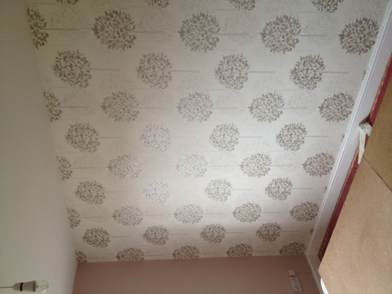 Painter & Decorator
