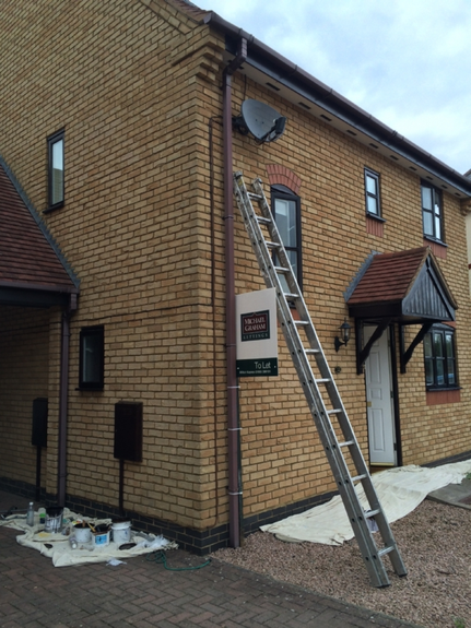 Painter & Decorator